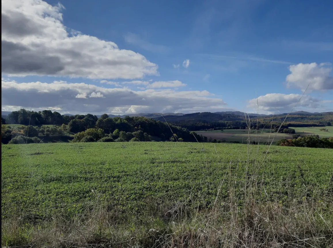 Herbstliche Feldlandschaft mit Waldrand bei Wollmar