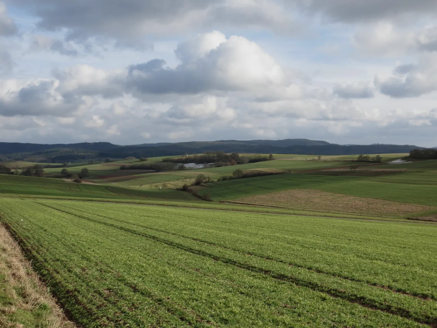 Weite Feldlandschaft um Wollmar mit den Höhenzügen des Burgwalds